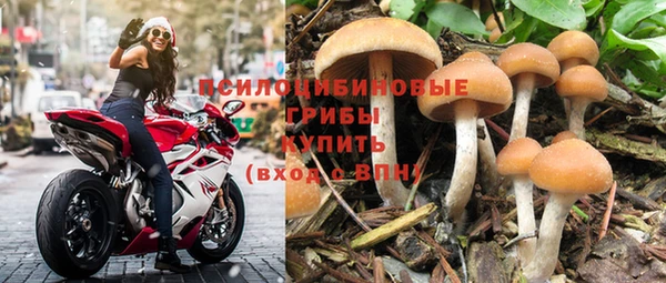 mix Бородино