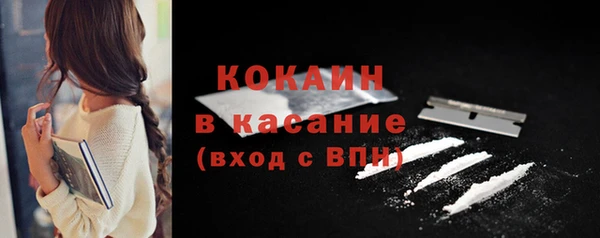 сатива Вязьма