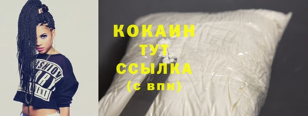 мдпв Вяземский