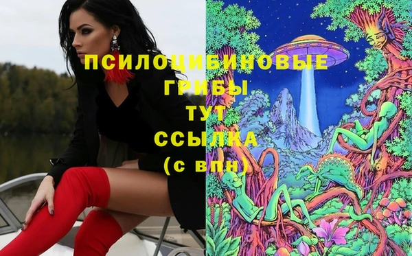 mix Бородино
