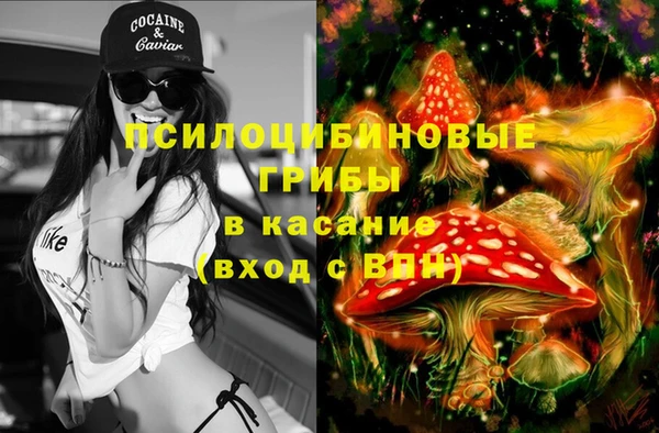 гашик Нягань